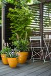 vibia campana rond 25cm jaune miel
